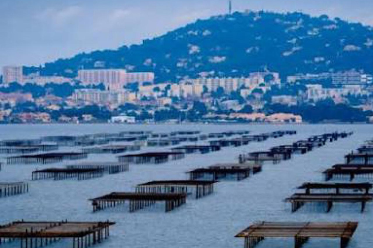 Sète: Discover the Thau basin and its beach by boat without a license