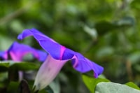 Combo Day Tour, Colonial Route and Volcanoes - Housity
