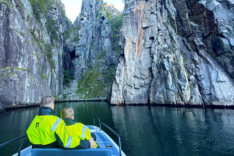 Excursão de minibus ao Lysefjord e safari de lancha opcionalPasseio de minibus pelo Lysefjord