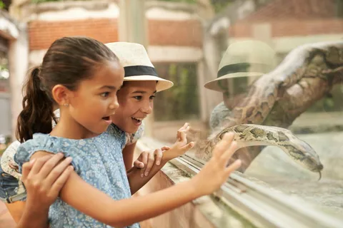 Zoo de Dublín: Ticket de entrada sin colas con traslados privados