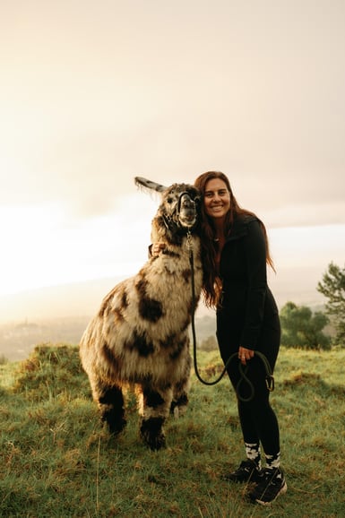 Maui: trekking con i lama al tramonto sull'Haleakalā