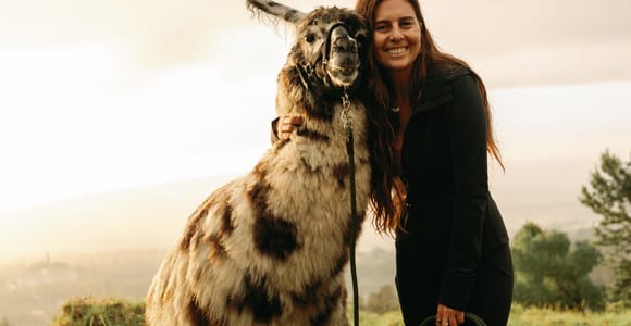 Maui: Sunset Llama Trek on Haleakala