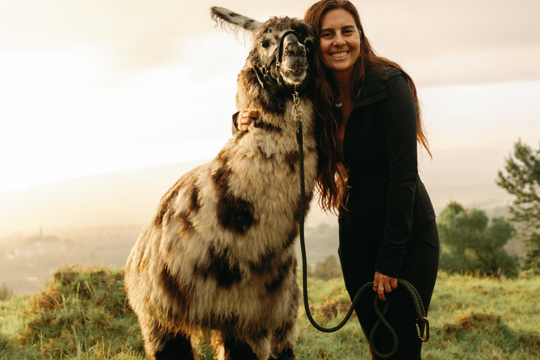 Maui: Sunset Llama Trek on Haleakala