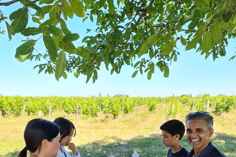 Chateau della Valle della Loira: tour di 2 giorni in bicicletta con degustazione di vini