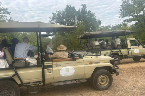 Nashorn Safari PirschfahrtPirschfahrt und Nashorn-Walk-Safari