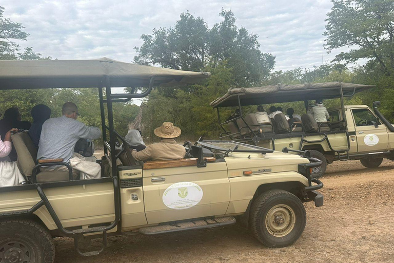 Safari des rhinocérosSafari en 4x4 et promenade à dos de rhinocéros