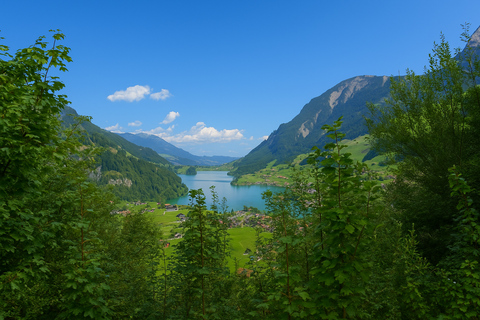 From Zurich: Private Half-Day Lucerne Tour With Local Guide