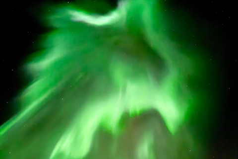 Reykjavik: Northern Lights Tour with Chinese Guide冰岛雷市中文极光团 极光团（含Bus Stop #12免费接送）