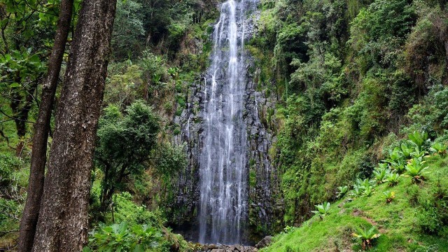 Visit Materuni waterfalls & coffee tour for small group in Manali