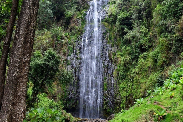 Materuni waterfalls & coffee tour for small group Kilimanjaro coffee tour, village walk, waterfalls &hot lunch