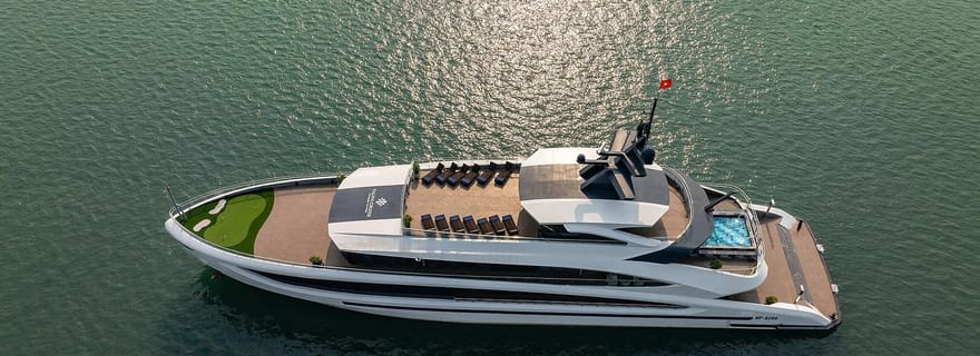 Hanoï : Croisière d'une journée à la baie d'Ha Long et à la baie de Lan Ha à bord du Taliya