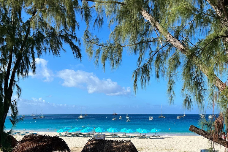 Shuttle naar Carlisle Bay inclusief strandstoel