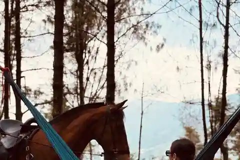 From Medellin: 100-Year-Old Finca Horseback Riding & More