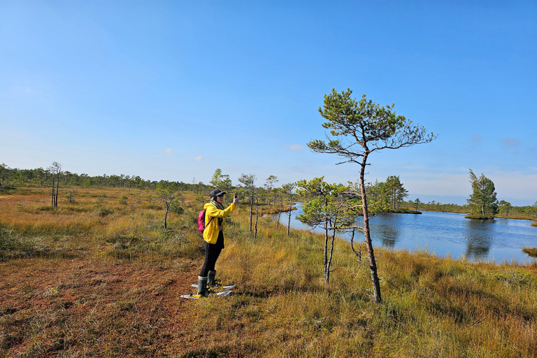 Ķemeri Bogs Adventure: Explore Wetlands In Bog Shoes