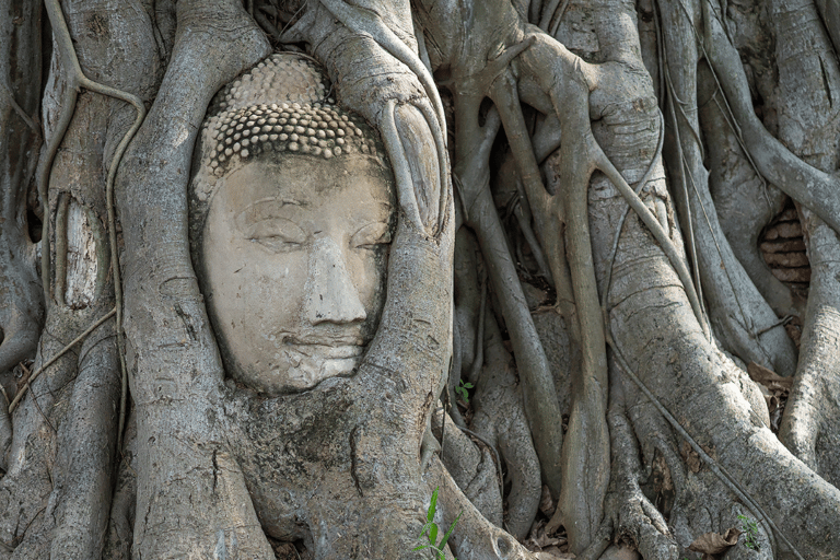 Ayutthaya Heritage-dagtour met boten en tuk-tuks
