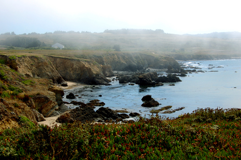 San Francisco: Tour di Monterey e Carmel