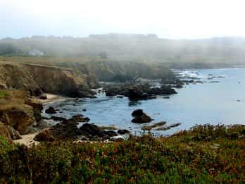 Ab San Francisco: Monterey & Carmel Tour mit Aquarium-Option Ab San Francisco: Monterey & Carmel Tour mit Aquarium-Option