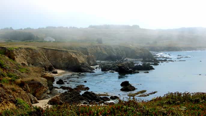 san francisco monterey carmel tour with optional aquarium