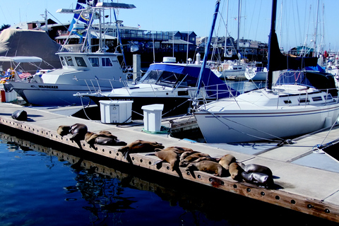 San Francisco: Tour di Monterey e Carmel