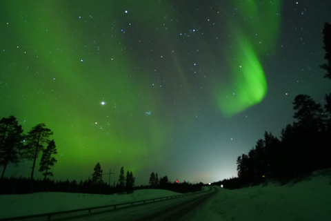 From Kiruna: Abisko National Park Northern Lights Tour