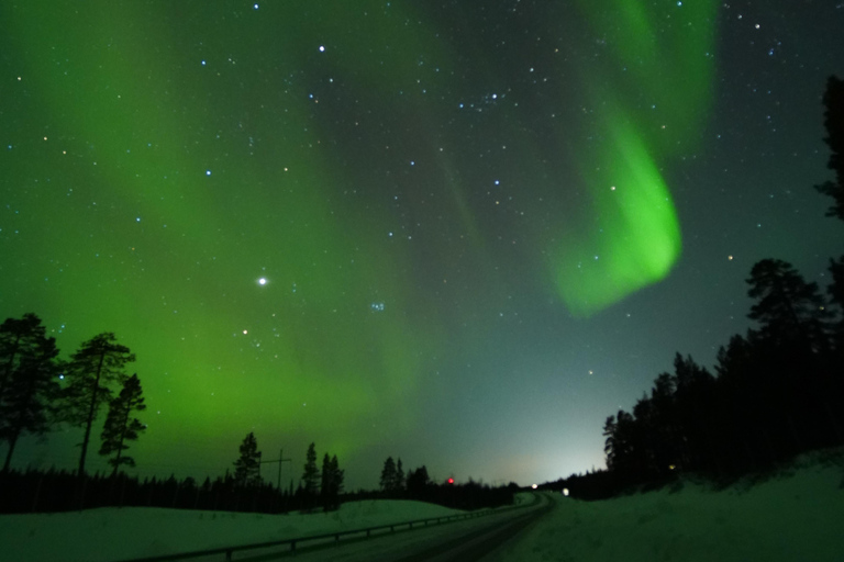 From Kiruna: Abisko National Park Northern Lights Tour