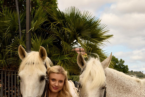 Albufeira: Horseback Ride with Tapas and Wine