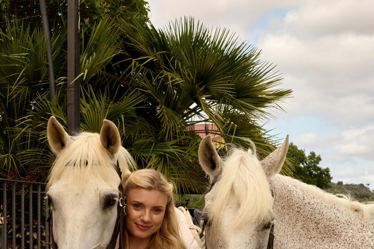 Albufeira: Horseback Ride with Tapas and Wine