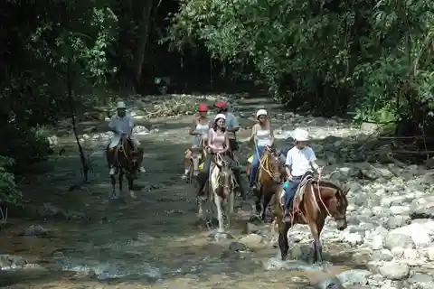 Från Manuel Antonio: Ridning med lunch eller middag