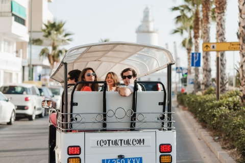 Málaga: tour de la ciudad en tuk tuk eléctricoTour de 1 hora