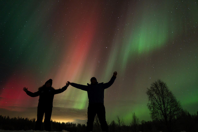 Rovaniemi: Aurora Hunting with 100% Refund. Small Group. Rovaniemi: Aurora Treasure Expedition & Refund (Standard)