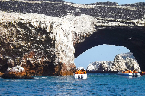 Paracas : Ballestas Islands & Paracas Reserve - Full Day