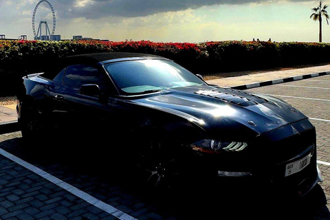 迪拜：卡布里奥野马之旅。奢华野马之旅