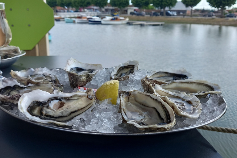 Dune du Pilat and Oysters Tasting ! What else ?