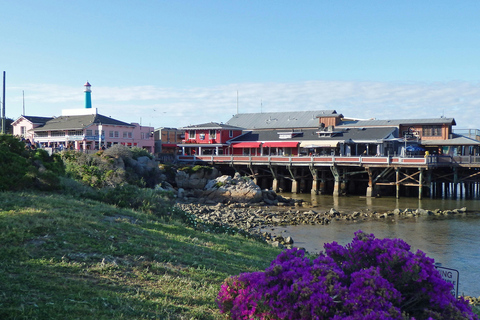 San Francisco: Monterey Bay Aquarium, Carmel & 17-Mile Drive San Francisco: Monterey & Carmel Tour WITHOUT Aquarium