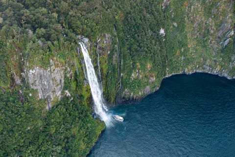 From Te Anau: Milford Sound Extended Cruise and Coach Tour - Image 2