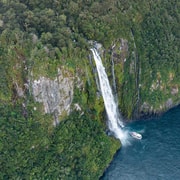 From Te Anau: Milford Sound Extended Cruise and Coach Tour