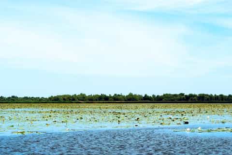 Excursión de medio día al parque nacional del Delta del Dniéster desde Odessa