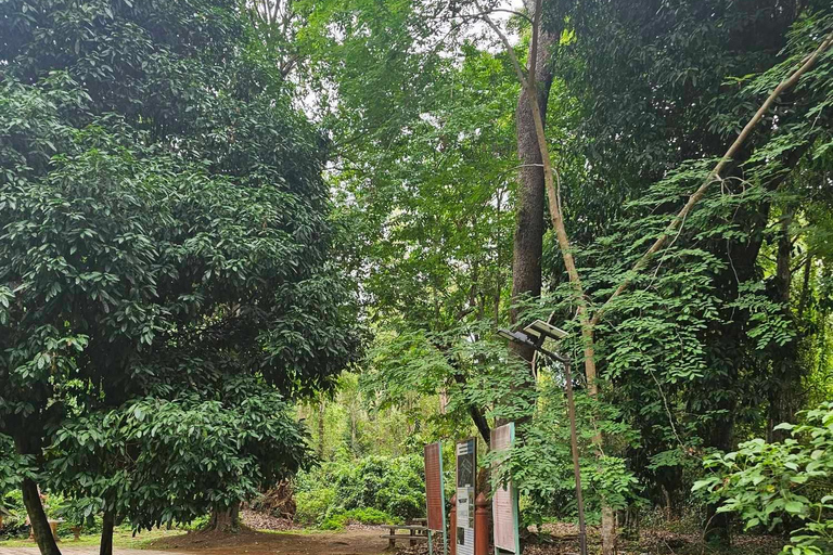 Chiangmai: Klebriger Wasserfall, Land der Engel und Wat ban den.