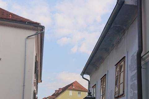 Graz Winter Walking Tour with Christmas Markets GRAZ: PRIVATE WINTER WALKING TOUR