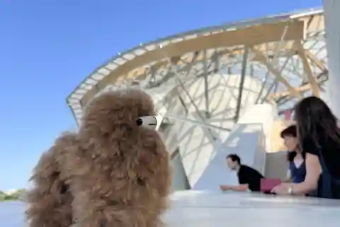 Fondation Louis Vuitton: Ingresso e tour particular
