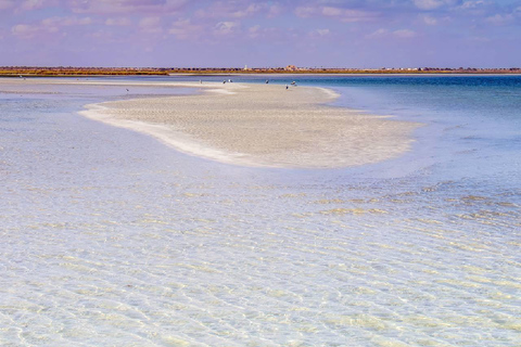Djerba: Hessi Jerbi Day Trip with Boat Ride & Lunch