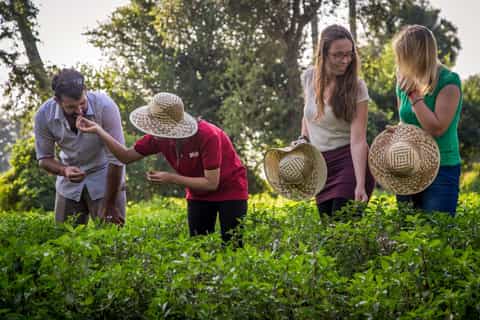 Siem Reap: Cambodian Cook-Out with Local Guide and Chef