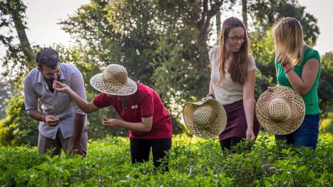 siem reap cambodian cookout with local guide and chef