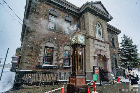 Sapporo: Otaru Day Trip-Mt. Tengu & Aquarium in small group start from Sapporo station