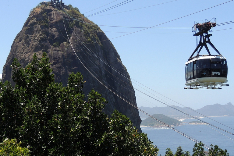 Rio en un jour : Tour de ville et spectacle combinés