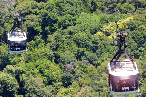 Rio en un jour : Tour de ville et spectacle combinés