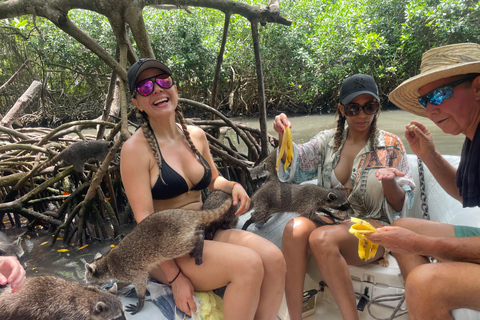 Cartagena: Overnight Catamaran Rosario Islands Trip Catamaran sunset and sleeping