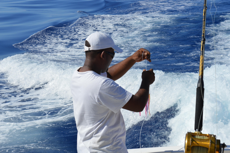 Mauritius: Big Game Fishing Trip from Grand Baie Full-Day Big Game Fishing Trip
