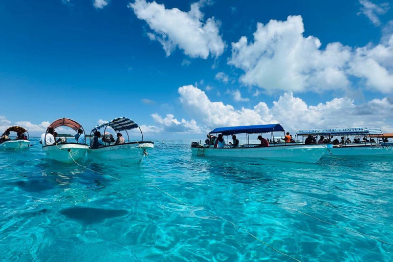 Zanzibar: Mnemba Island Snorkeling with Transfer & Lunch Zanzibar: Mnemba Island Snorkeling with Transfer & Lunch