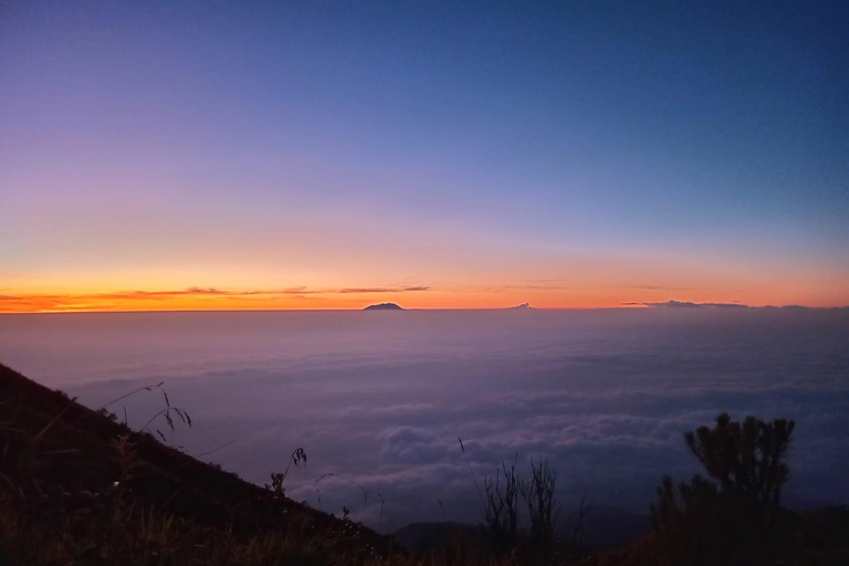 Yogyakarta: Mount Merbabu Hiking adventure Day Hiking with Guide